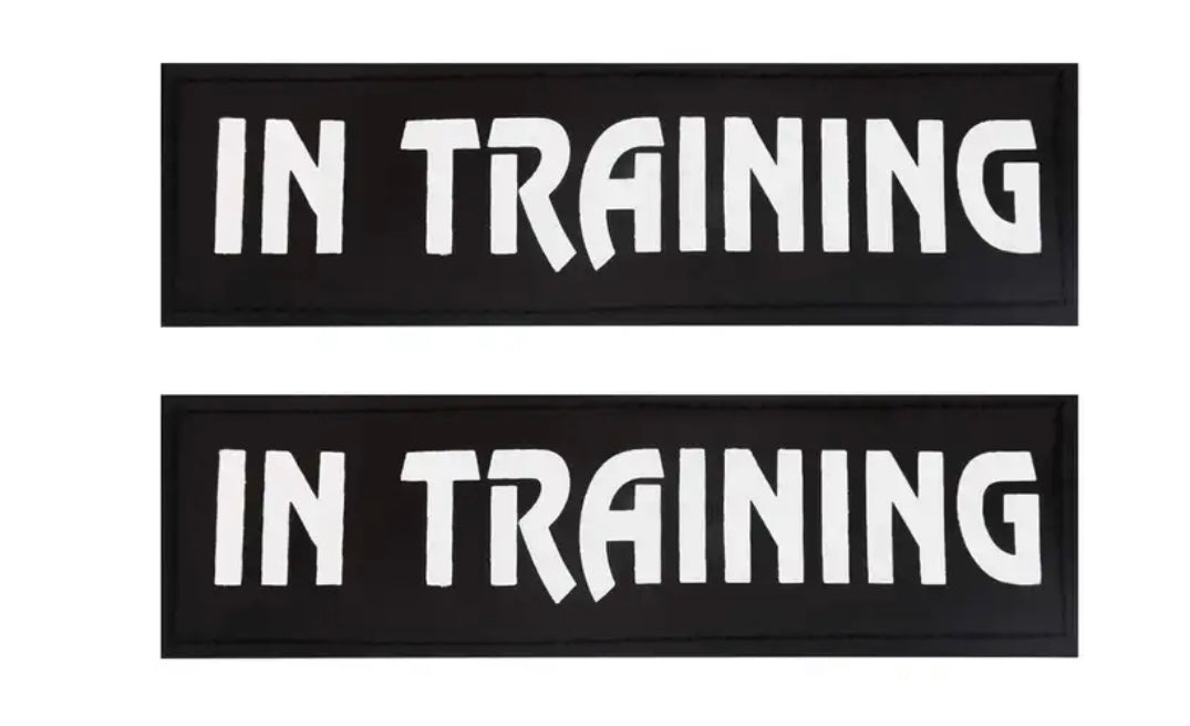 BillieG Custom Name Patch