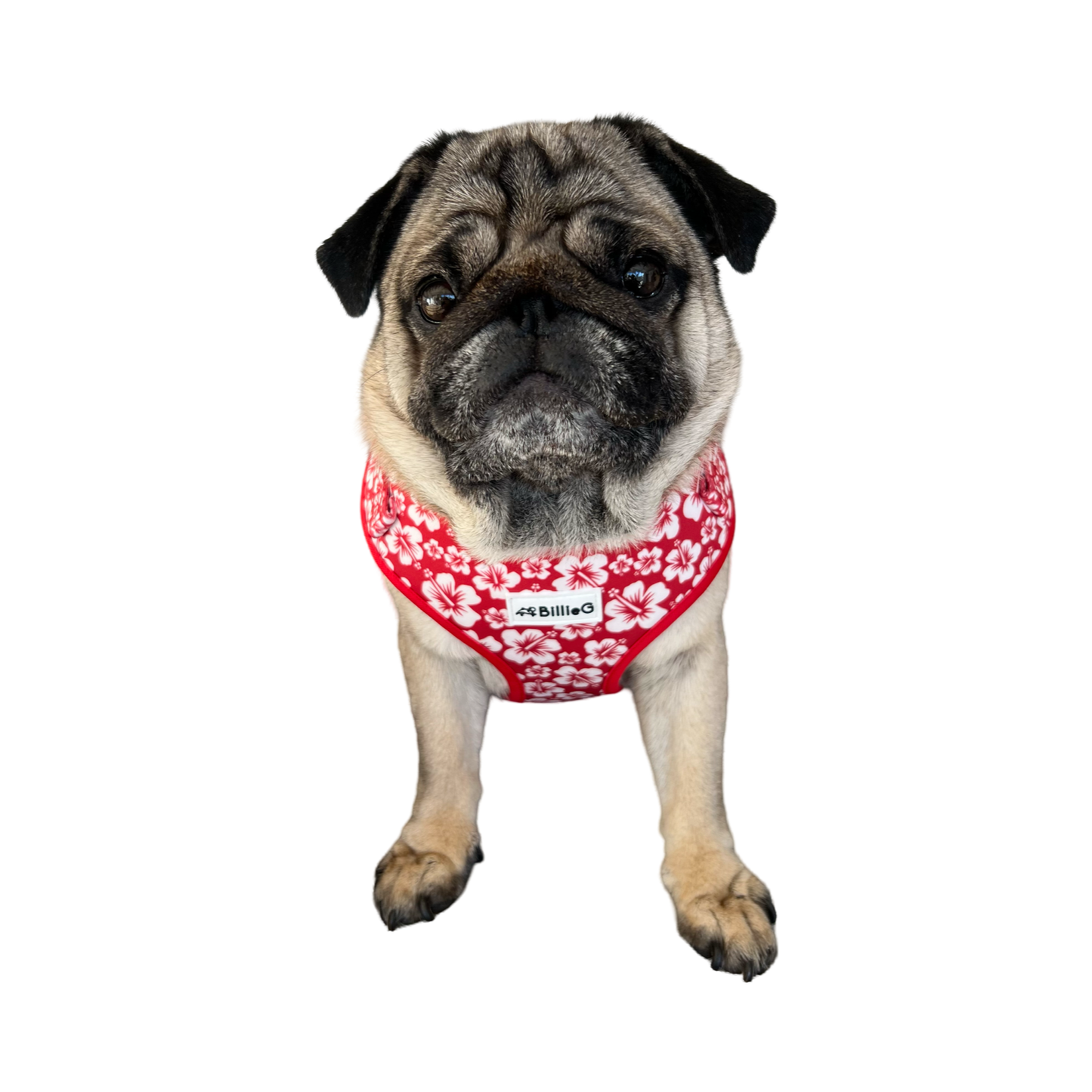 BillieG Red Surfs Up Adjustable Vest Harness - Large