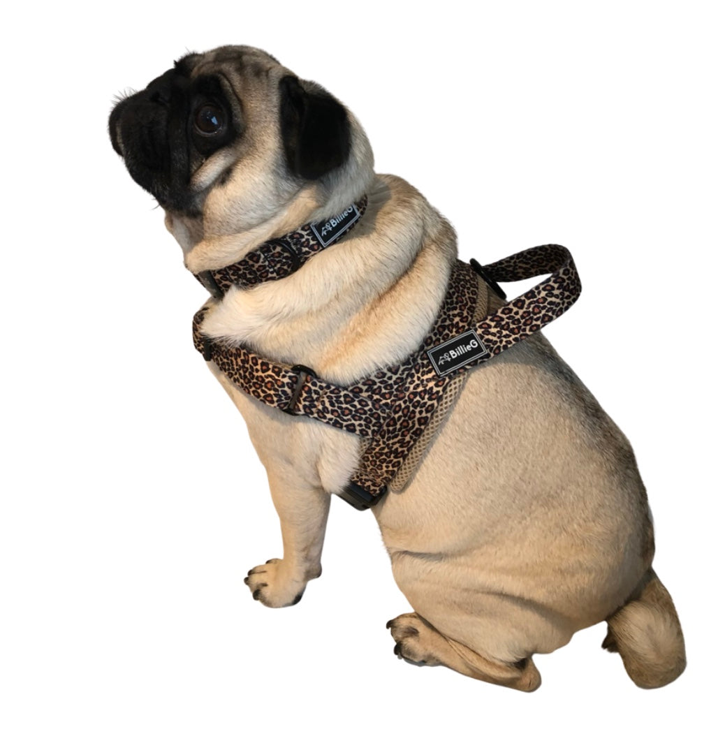 BillieG Leopard Print Adjustable Nylon Collar & Bow tie with Quick Release Black Engravable Metal Buckle