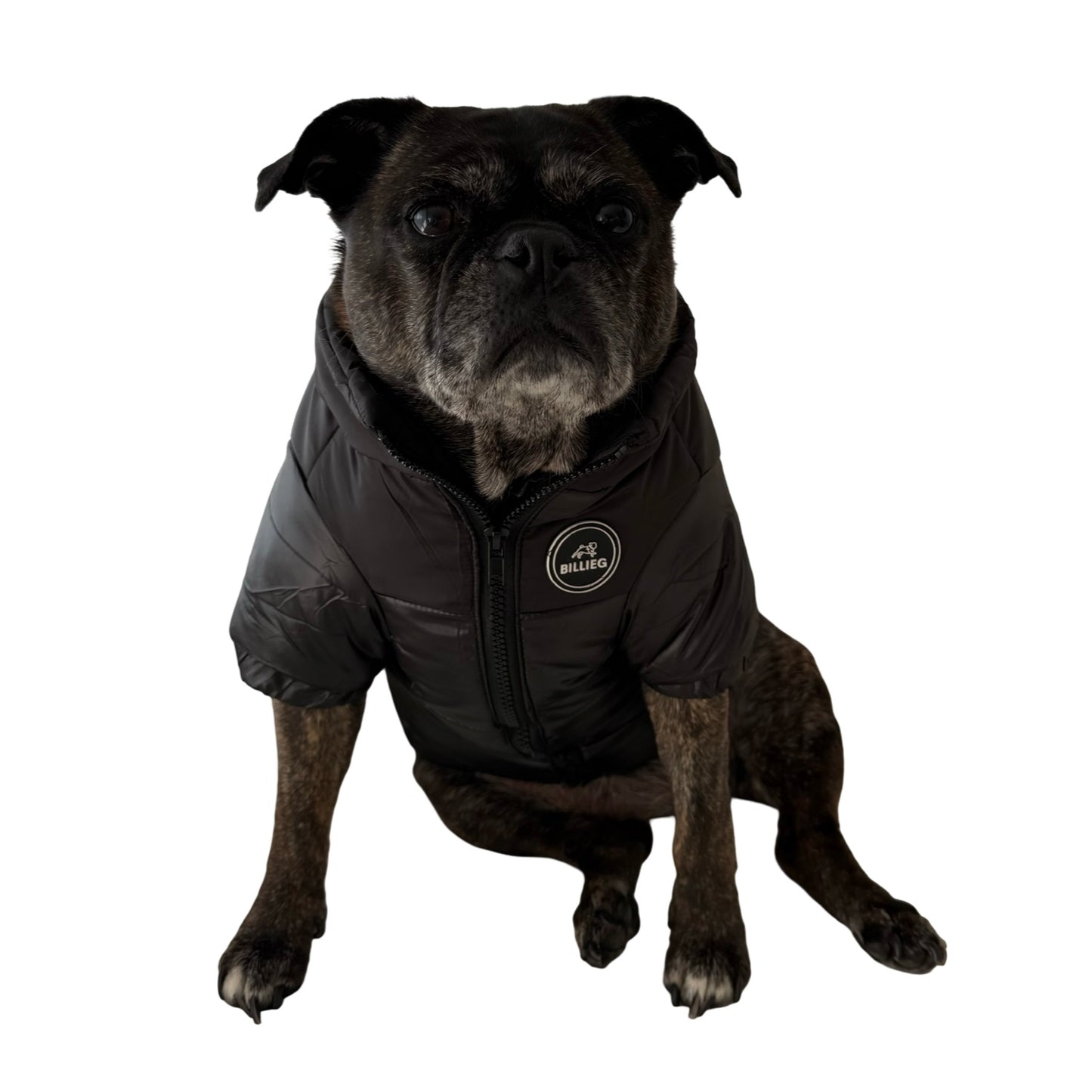 BillieG Puffer Jacket Black