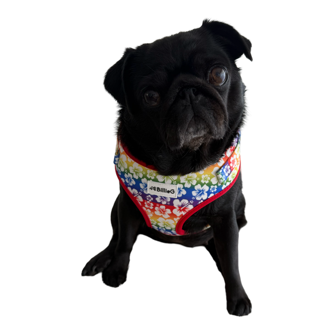 BillieG Rainbow Surfs Up Adjustable Vest Harness - Medium