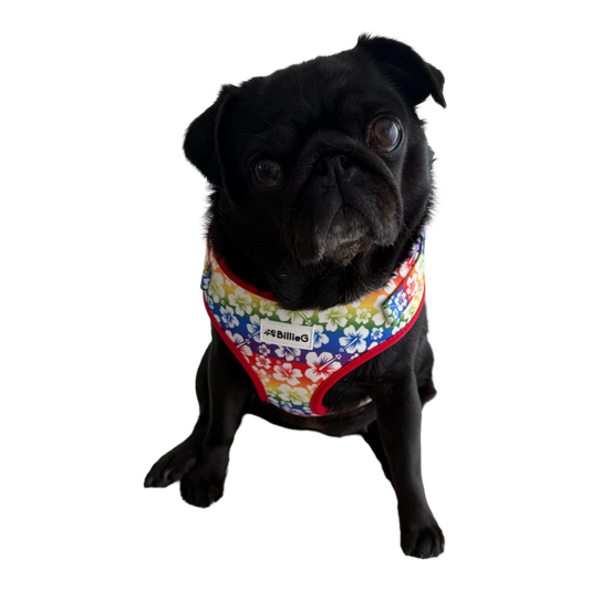 BillieG Rainbow Surfs Up Adjustable Vest Harness - Large