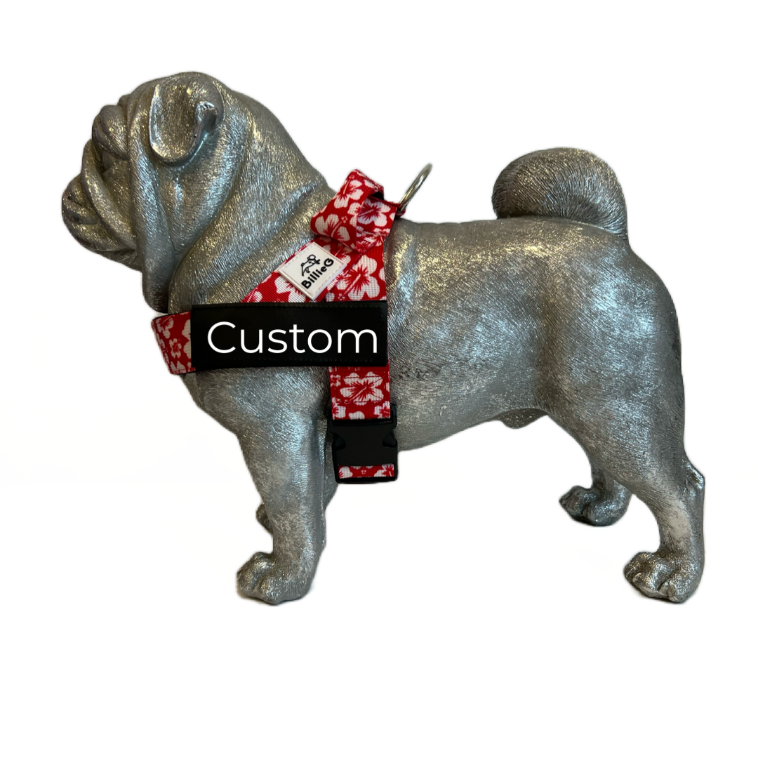 BillieG Personalised Easy Fit Harness