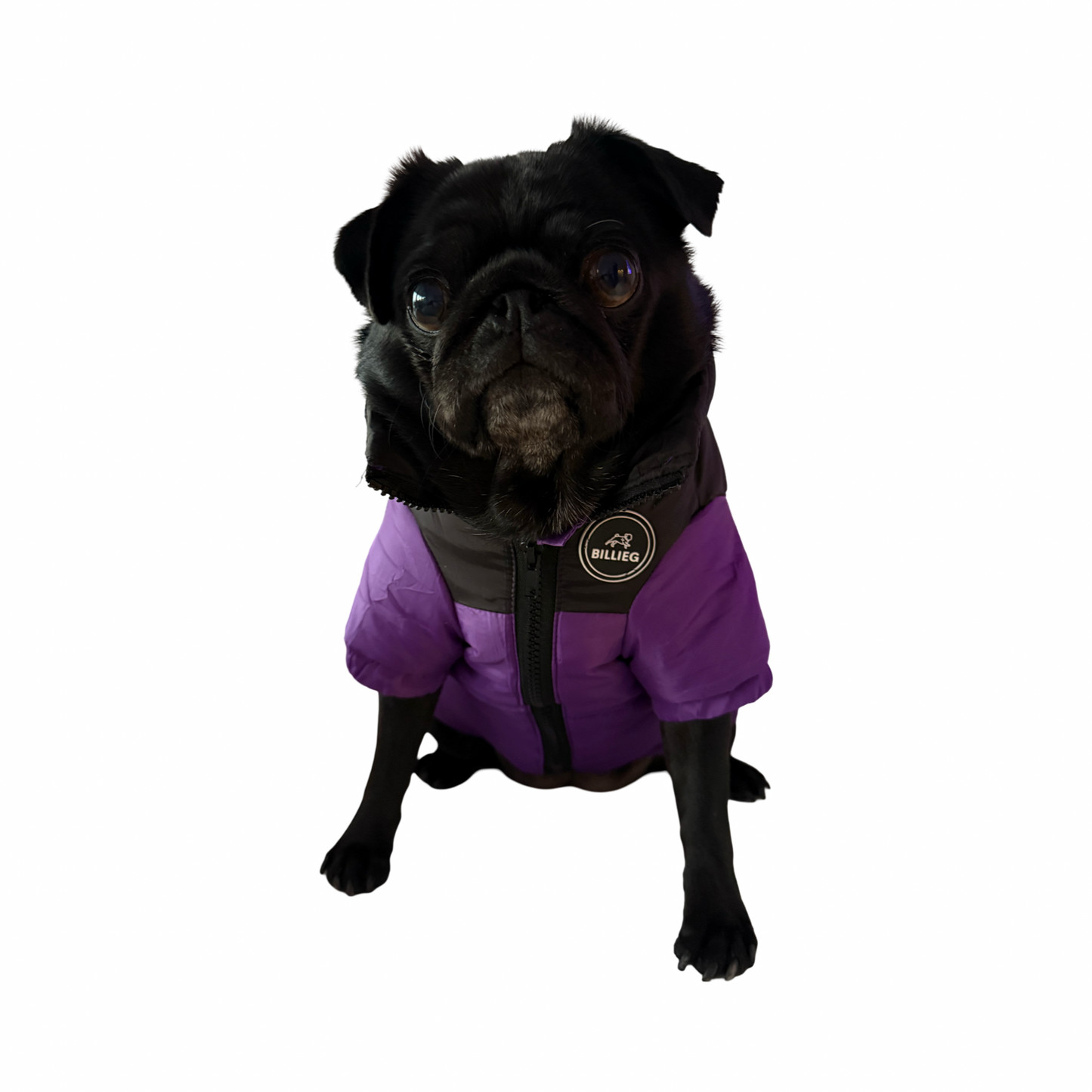 BillieG Puffer Jacket Purple & Black