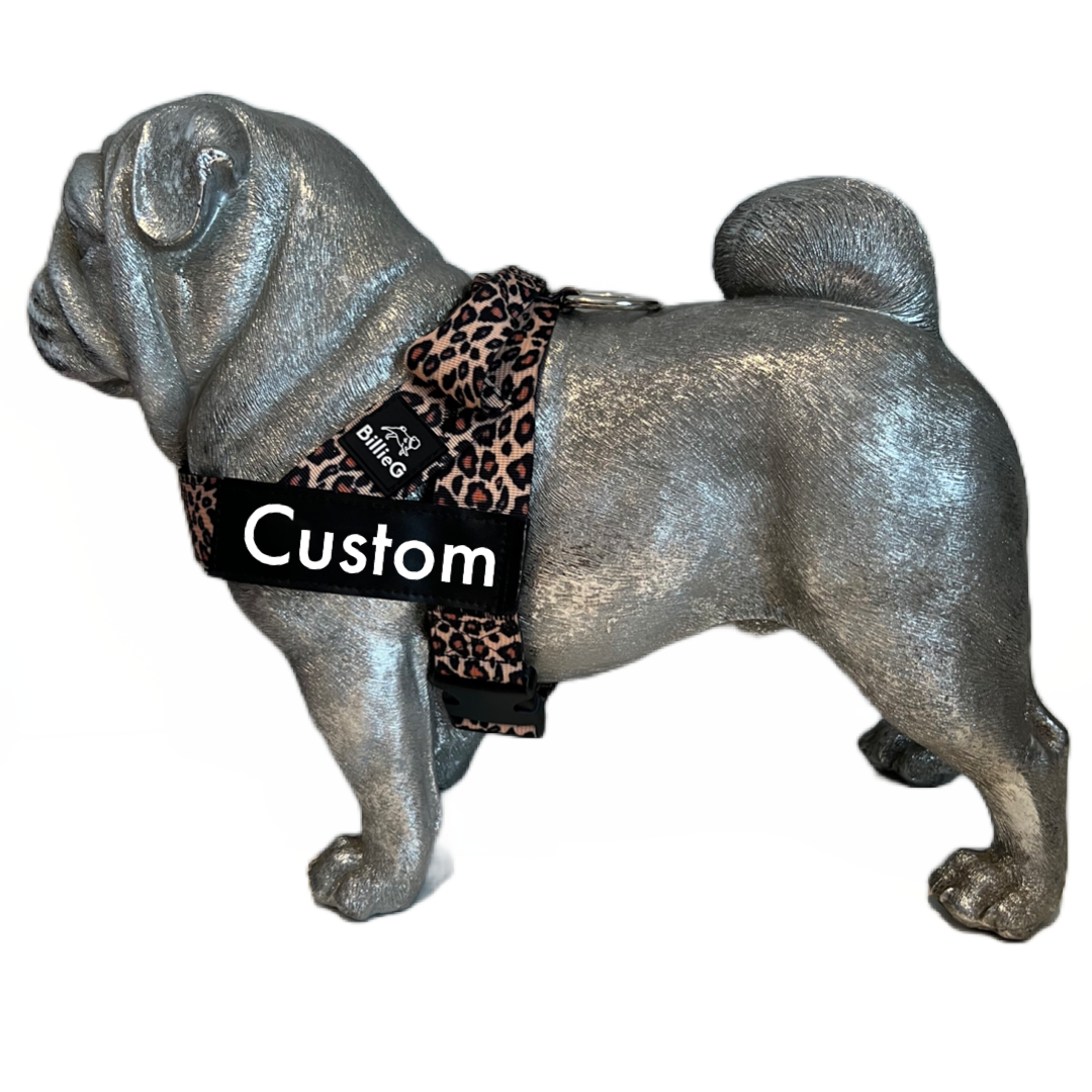 BillieG Personalised Easy Fit Harness