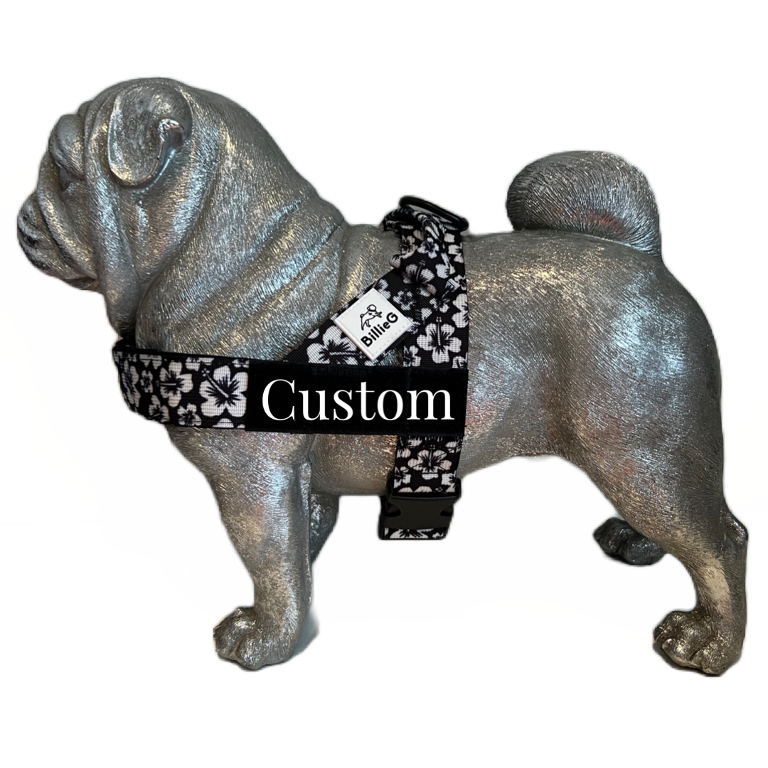 BillieG Personalised Easy Fit Harness