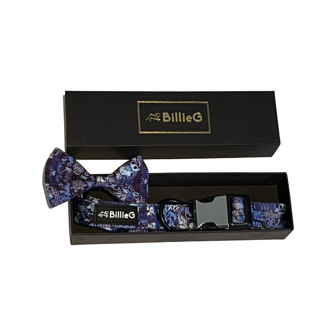BillieG Blue Graffiti Nylon Collar & Bow Tie with Quick Release Silver Metal Buckle