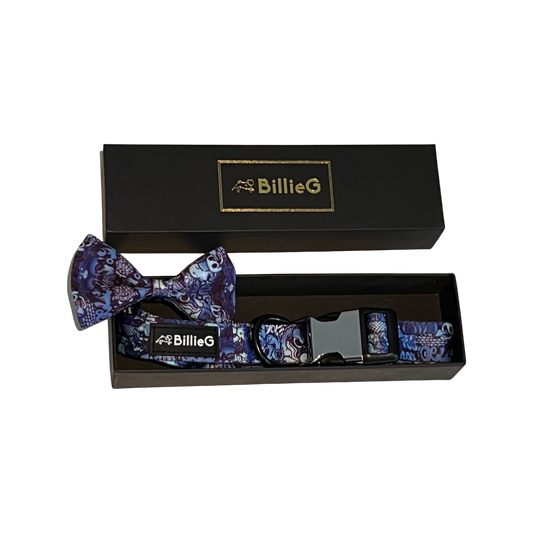 BillieG Blue Graffiti Nylon Collar & Bow Tie with Quick Release Silver Metal Buckle