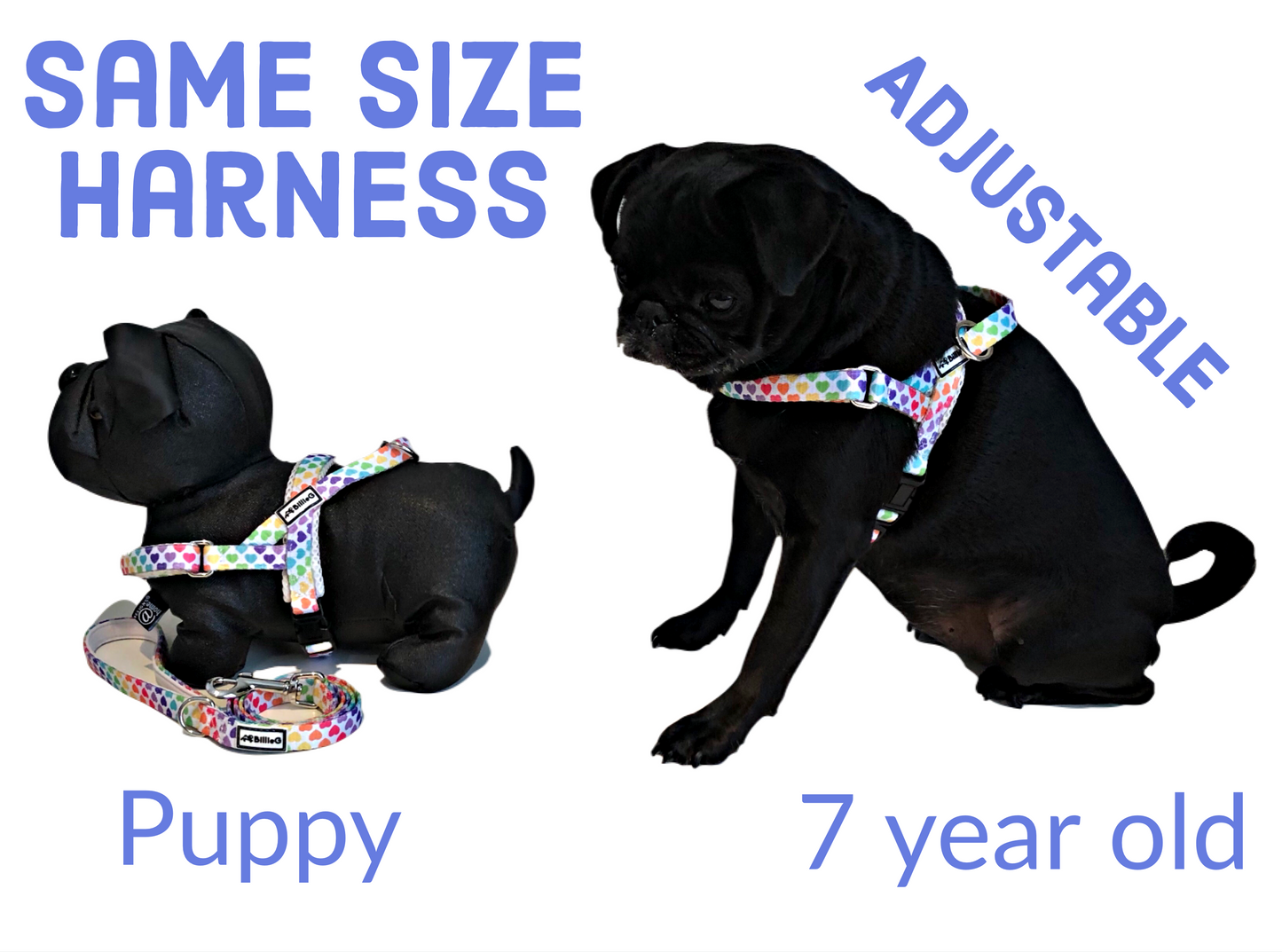 BillieG stylish easy fit, no pull, adjustable multipurpose quick release dog harness
