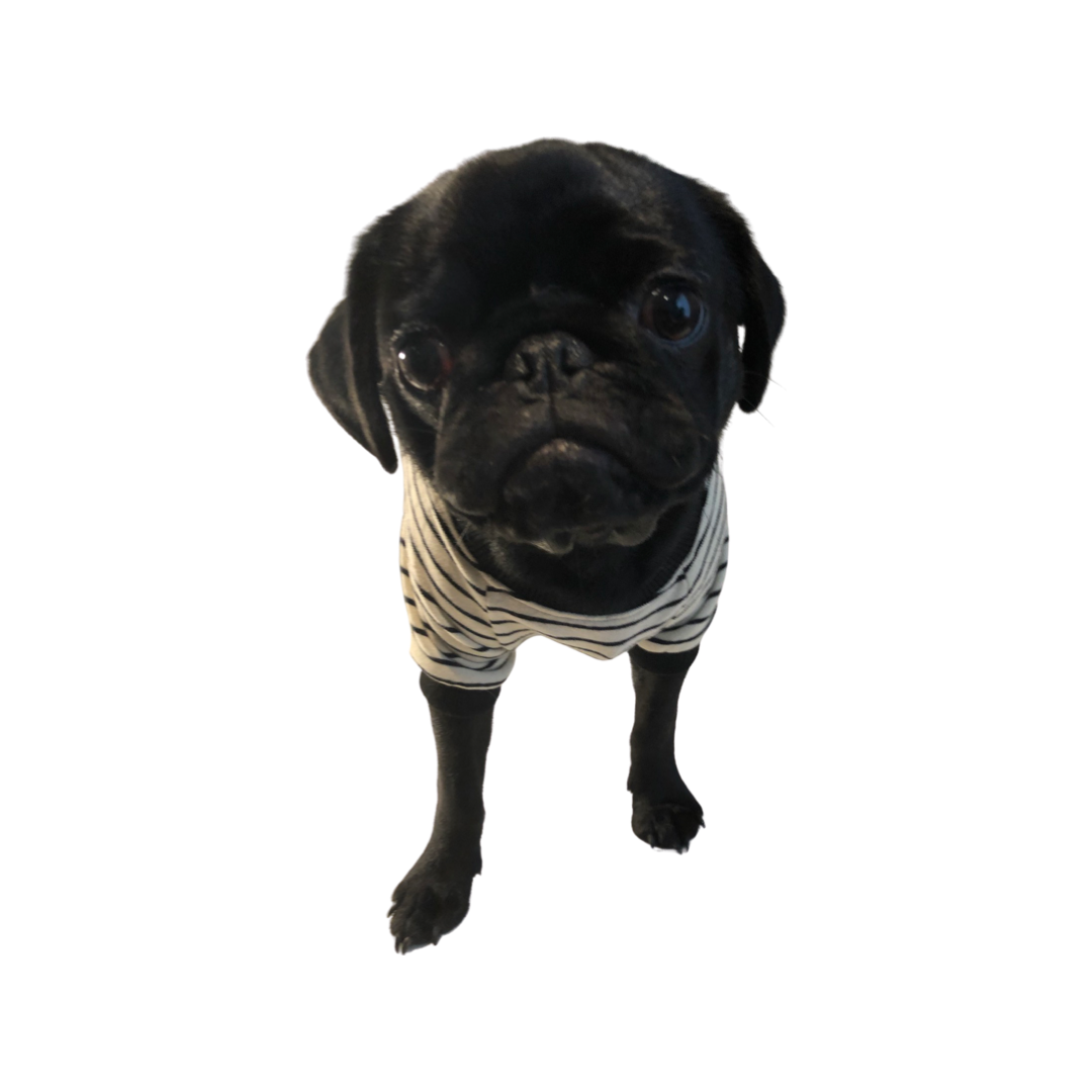 BillieG Striped Tee - Black & White