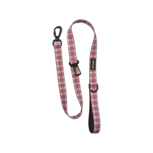 Stylish Nylon Dog Lead