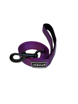 Stylish Nylon Dog Lead