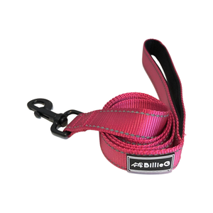 Stylish Nylon Dog Lead