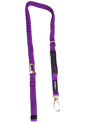 Heavy duty nylon dog lead with dual handles and car seat belt clip