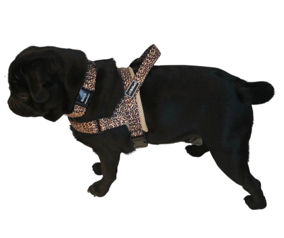 BillieG Leopard Print Adjustable Nylon Collar & Bow tie with Quick Release Black Engravable Metal Buckle