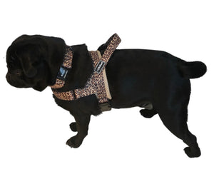 Leopard Print Adjustable Nylon Collar & Bow tie with Quick Release Black Engravable Metal Buckle